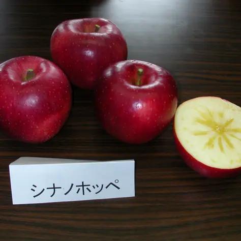 ※蜜入りは霜が降りるような低温が必要不可欠なため、温暖化の影響で蜜入りが厳しい年もございます。あらかじめご了承ください。