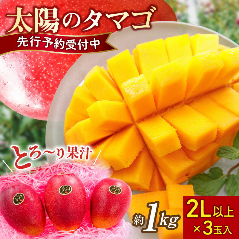 【ふるさと納税】【2026年発送】マンゴー 太陽のタマゴ 2L×3玉 1kg 糖度15度以上 完熟 数量限定 先行予約 厳選 大玉 フルーツ 宮崎《レビューキャンペーン実施中》
