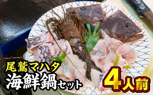 
幻の魚『尾鷲マハタ』海鮮鍋セット《10月～4月期間限定出荷：先行予約も可（到着日時指定必須商品）》　UO-45
