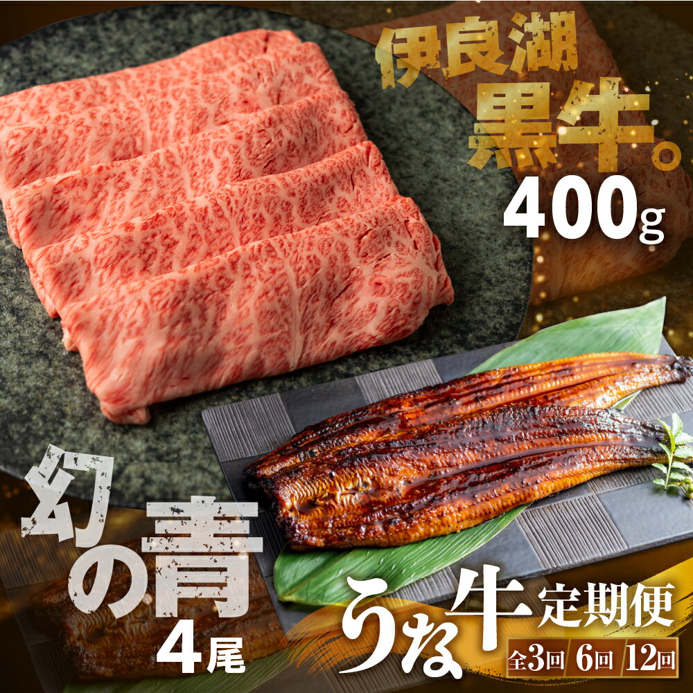 【ふるさと納税】幻の青うなぎ＆伊良湖黒牛。 堪能 定期便 うなぎ 国産 黒毛和牛 スライス ロース 大容量 選べる 3回 6回 12回 定期 1年 和牛 蒲焼 長蒲焼 高評価 ランキング 1位 鰻 4尾 しゃぶしゃぶ すき焼き 焼肉 ごちそう お楽しみ どうまい 田原市