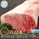 【ふるさと納税】 飛騨牛 サーロインブロック 5kg ローストビーフ ステーキ 焼肉 A5 A4 サーロインステーキ サーロイン ブロック ブロック肉 塊肉 国産 牛 冷凍 和牛 牛肉 白川 ギフト 贈答 お肉 肉 東白川村 岐阜 飛騨 贅沢 霜降り 赤身 肉のひぐち