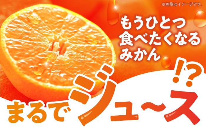 みかん ミカン 蜜柑 みかんジュース フルーツ 果物