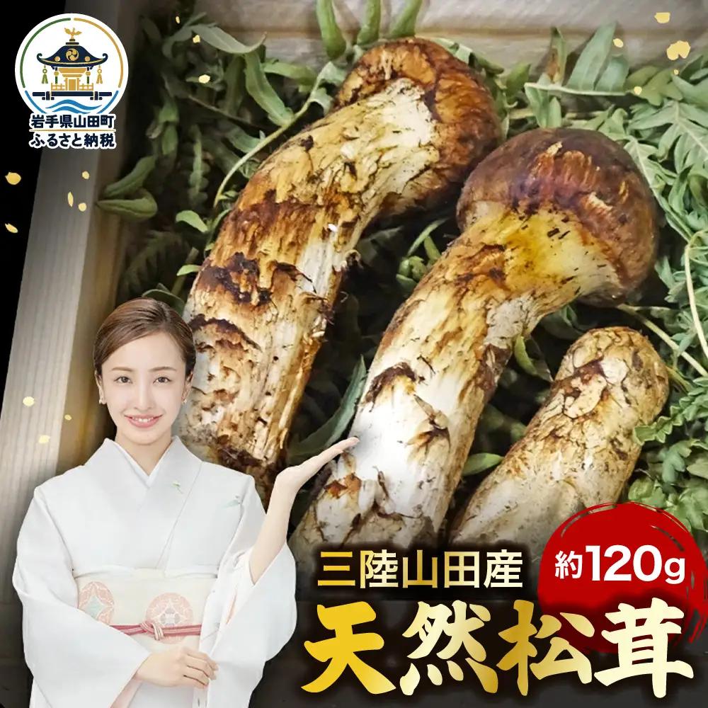 ≪2026年先行予約 9月中旬～11月下旬発送予定！≫ 秋の味覚 三陸山田産松茸 約120g 三陸山田 山田町 まつたけ マツタケ 野菜 山田産野菜 【ベルアクト】