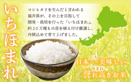  令和7年産 いちほまれ 10kg (5kg×2)「福井県ブランド」 特A通算6回獲得！【白米】【人気品種】 [e30-c015]