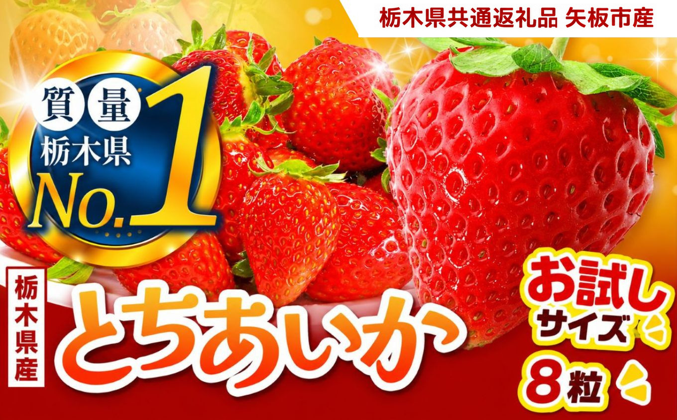 いちご お試し とちあいか 8粒以上【2027年先行予約】 | 苺 イチゴ 栃木県共通返礼品 栃木県矢板市産 【お試し】とちあいか8粒｜5000円