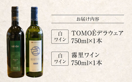 おすすめ 白ワイン 2本セット 霧里ワイン やや甘口 TOMOE デラウェア やや辛口 ワイン 受賞 飲み比べ ワインセット ギフト 三次市 / 広島三次ワイナリー[APAZ010]