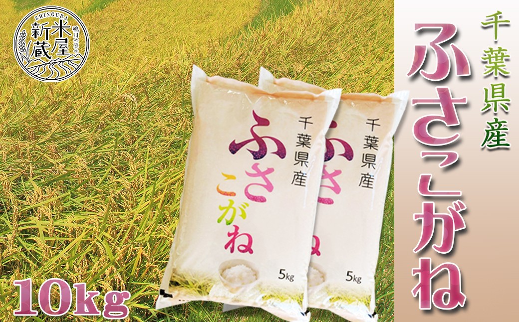 
                  【お米ソムリエ厳選】千葉県オリジナル品種 一等米『ふさこがね』10kg（千葉県産）
《令和７年産》《2週間以内に発送》《配送指定OK》千葉県産 ブランド米 コメ 白米 精米 米食味鑑定士 精米したて 色彩選別 [米屋新蔵][0024-0015]
                