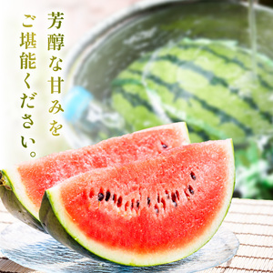 【1246】選び抜いた！小玉すいか ピノガール 2L 2玉《先行予約》2026年6月上旬から順次発送予定【 配送不可地域：北海道・沖縄・離島】