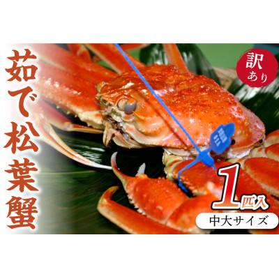 ふるさと納税 京丹後市 日本海産　ブランド蟹　茹で松葉蟹【訳あり】中大サイズmatubakani800
