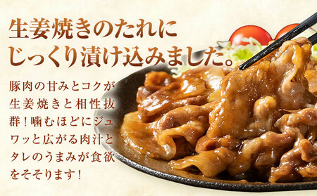 【ふるさと納税】匠坂東豚 国産豚 切り落とし 生姜焼き 味付 2kg (250g×8パック) 株式会社坂東太郎　おにくブッチャーズ《30日以内に出荷予定(土日祝除く)》茨城県 河内町 豚 豚肉 肉 お