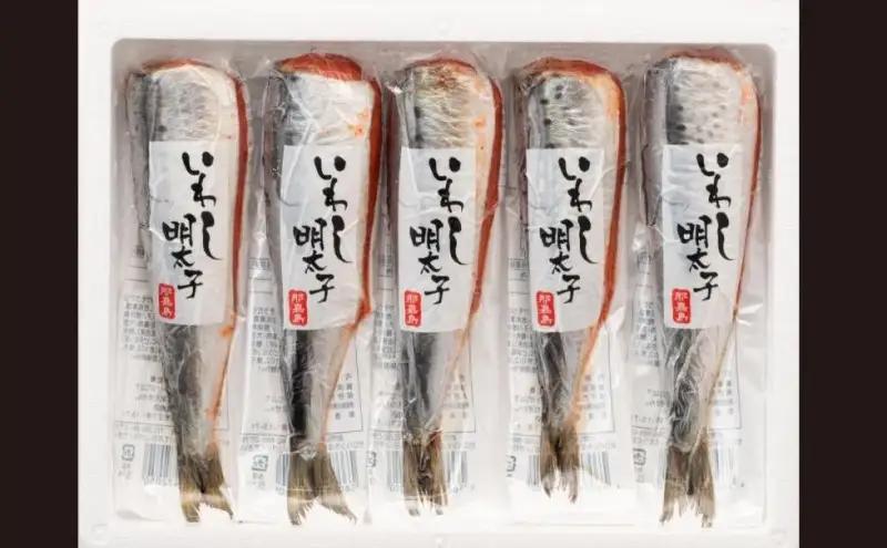 【福岡市】那嘉島のいわし明太子【中島商店】 5本入り | 魚卵 魚介類 水産 食品 人気 おすすめ 送料無料