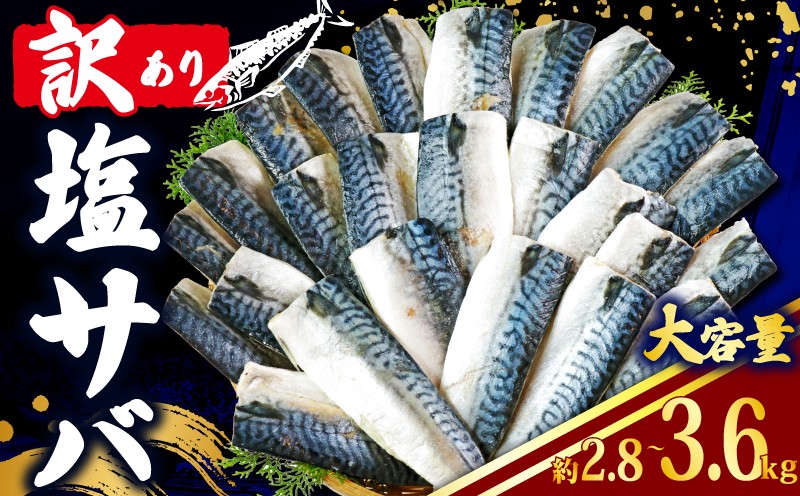 
            訳あり 塩さば フィレ 【選べる容量】 約2.8kg ~ 約3.6kg 魚介類 魚 海鮮 水産 大容量 サバ サバフィレ サバフィーレ 鯖フィレ 訳アリ わけあり 切身 切り身 冷凍 鯖 さば 塩サバ 塩鯖 規格外 不揃い 切身 塩焼き 焼きさば 焼き鯖 人気 冷凍 冷凍食品 魚介 魚貝 おかず 弁当 惣菜 食品 グルメ 贈答 贈物 贈り物 ギフト ふるさと納税 送料無料 千葉県 銚子市 辻野 
          