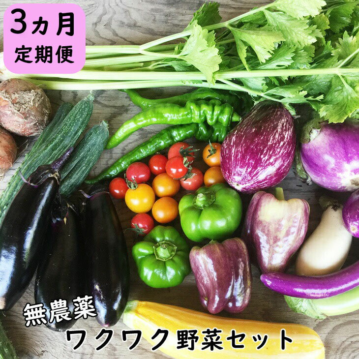 【ふるさと納税】【定期便3回】 ひばり農園の 無農薬 ワクワク 野菜セット 《予約受付 6月より発送開始》 野菜定期便 新着 ふるさと納税 野菜 定期便