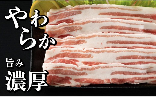 B580 《定期便》長崎県産豚 バラスライス 計1kg(500g×2) 【12回お届け】