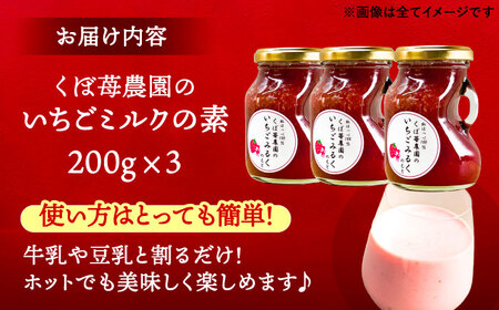 いちごミルクの素 3本 苺 イチゴ【配達不可：離島】 / くぼ苺農園[AECJ024]