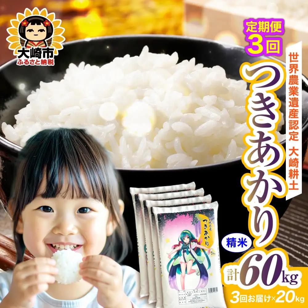 定期便《精米》令和7年 宮城県産 つきあかり 20kg(5kg×4)×3回（計60kg） | ot006-ta-20kg-r704-t3