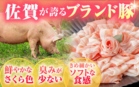 佐賀のお肉焼肉セット（牛肉・豚肉・鶏肉）【吉祥】 HCW005 焼肉 BBQ ブランド和牛