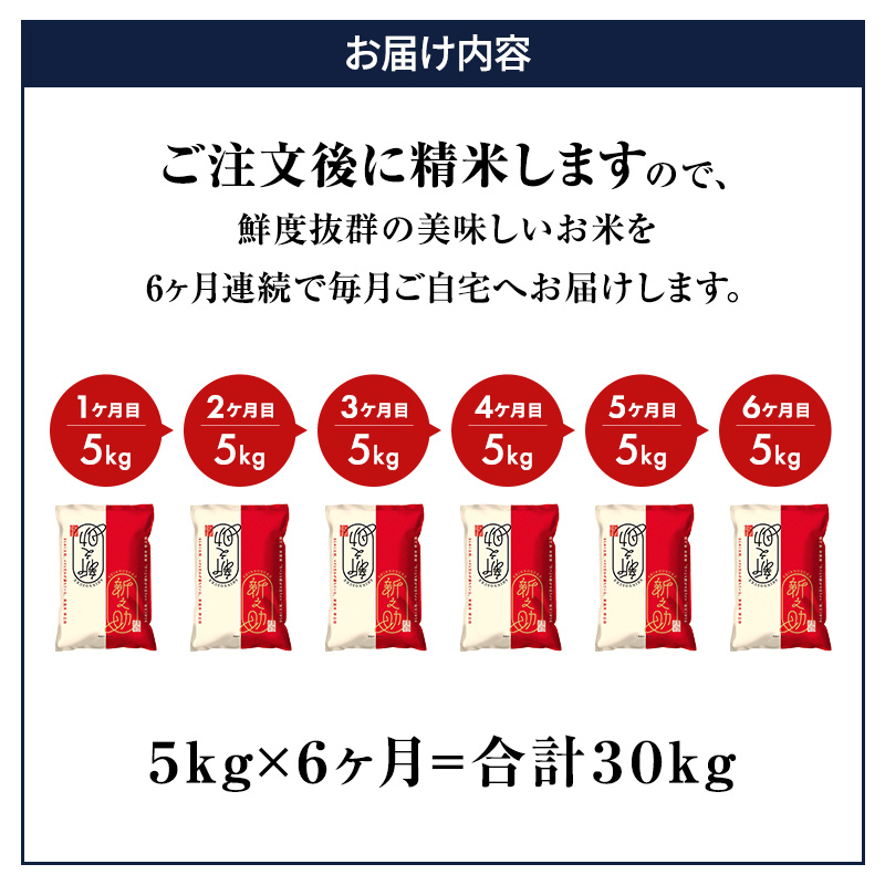 6ヶ月定期便 新米  新潟産 新之助 5kg 白米 精米 １等米 新潟県産 定期便 お米 5kg  こめ コメ ブランド米 6ヶ月 半年 6回