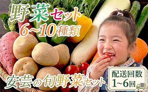 
                  「安芸ブランド」新鮮お野菜詰め合わせセット 6～10種類 | 定期便 2回 3回 4回 6回 頒布会 人気 野菜 詰め合わせ セット 新鮮野菜 野菜定期便 野菜セット 季節の野菜 地元産 おすすめ ジャガイモ 玉ねぎ 人参 タマネギ にんじん トマト きゅうり なす 旬野菜 新鮮 お試し やさい定期便 野菜 定期便 5000円 5千円 5,000円 1万円 安芸駅ぢばさん市場 高知県 安芸市
                
