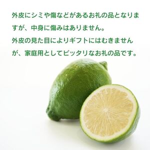 訳あり レモン (グリーンレモン) 5kg 種なし ノーワックス りのか ワックス不使用 みかん職人武田屋 グリーンレモン
