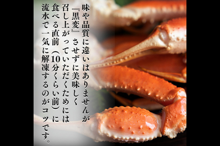 カニの カジマ 職人魂 かに定期便 隔月1回 × 3回 カジマ ずわい蟹 ズワイガニ たらば蟹 タラバガニ ずわいがに かに カニ 蟹 ずわい たらば_AF029