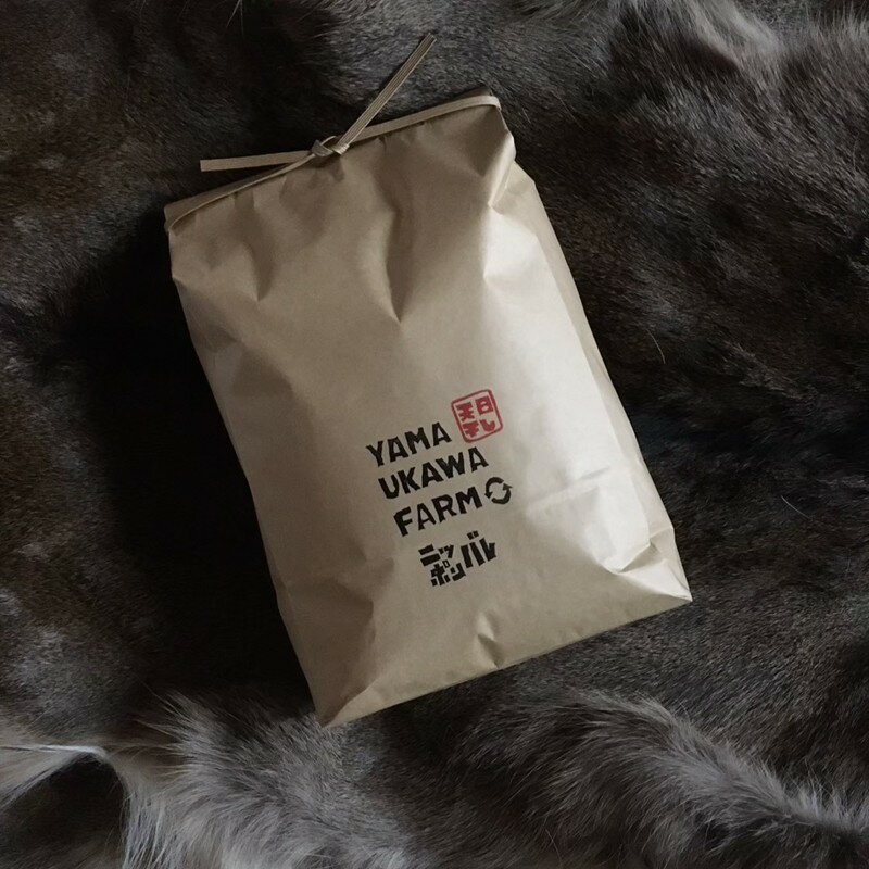 【ふるさと納税】令和7年産　日本晴（玄米）2kg 3kg 選べる 内容量 玄米 ふるさと納税 米 お米 ご飯 ごはん