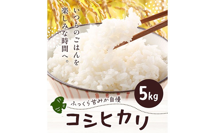
                  米 千葉県我孫子市の農家直送! ふっくら甘み自慢の 令和7年産 コシヒカリ 5kg 《30日以内に出荷予定(土日祝除く)》 ベジLIFE!! 精米 米 白米 ごはん お米 ライス ブランド米 ご飯 和食 お弁当 おにぎり 甘い 国産 コメ 千葉県 我孫子市
                