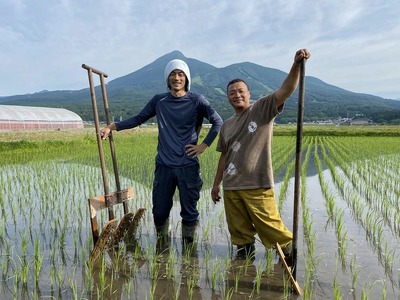 【令和7年度産】 つちや農園 猪苗代町産 玄米 特別栽培米ひとめぼれ 5kg（玄米）| お米 米 ひとめぼれ