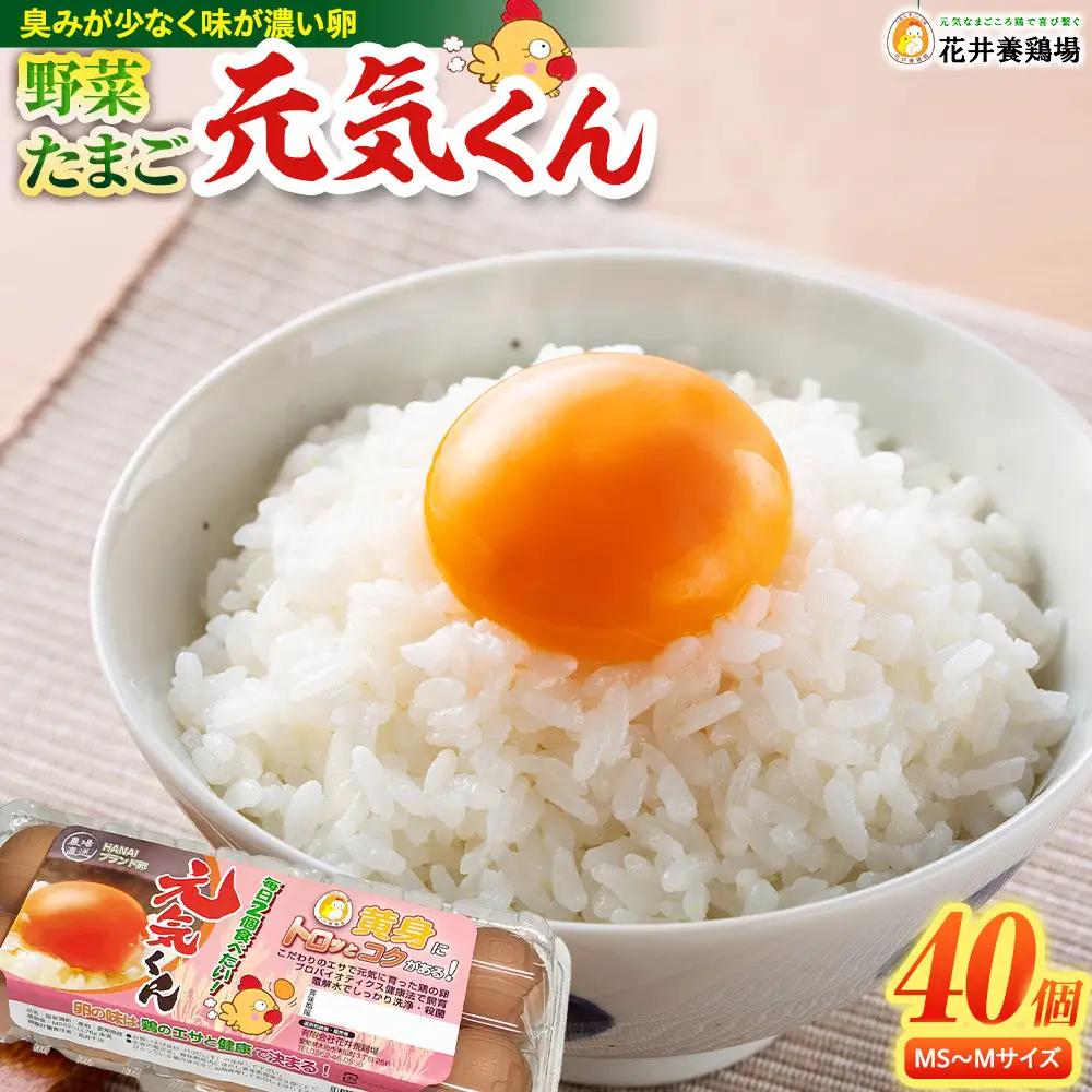 卵 「野菜たまご 元気くん」 40個 卵