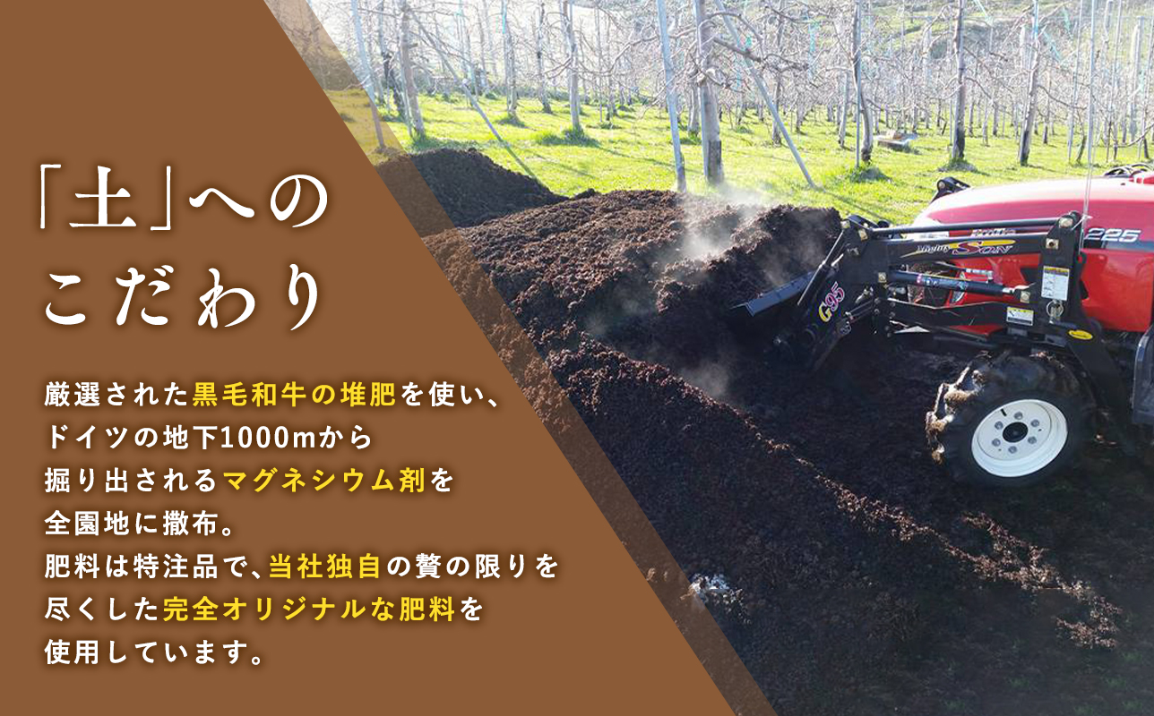 【10月発送】親子三代最高位のトキ約5kg【全国ふじコンテスト最高賞受賞農園・平川市広船産りんご】