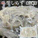 【ふるさと納税】岬だよりの 生しらす釣り餌用 250g×1袋【配送不可地域：離島】【1457296】