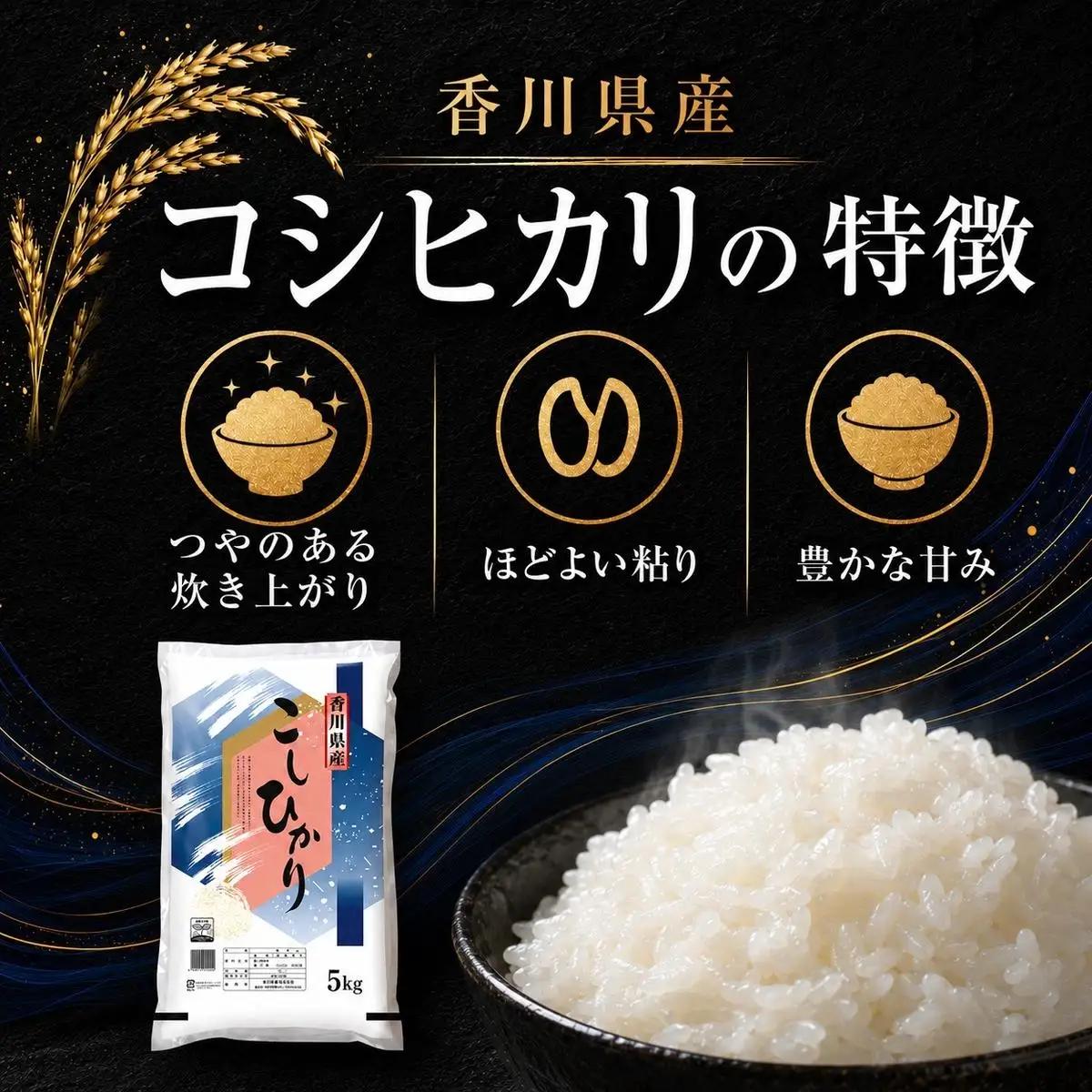 コシヒカリ 米 精米 白米 香川県産 コシヒカリ【5kg】