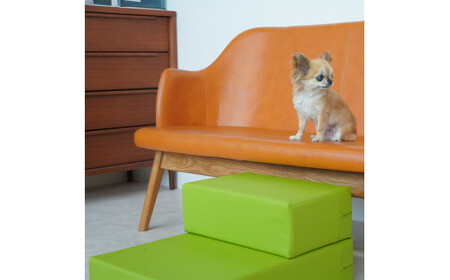 No.261-08 PVCレザードッグステップ「CHITO」Lサイズ（ネイビー）