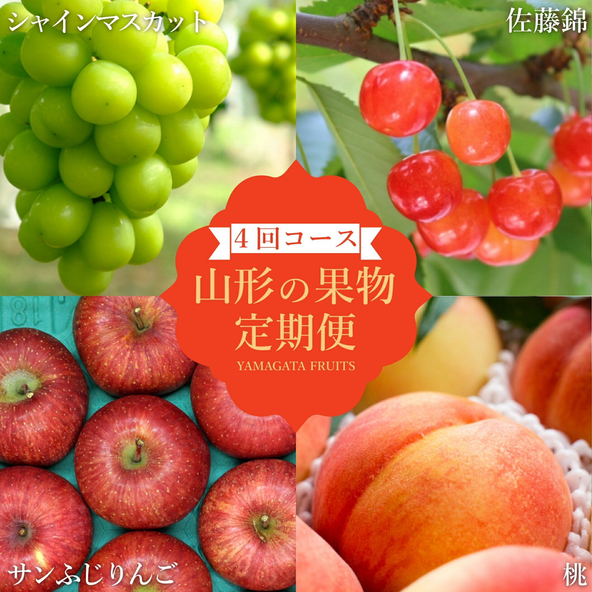【ふるさと納税】【2026年発送】【定期便4回】山形旬の果物4選（佐藤錦/桃/シャインマスカット/りんご）_H240(R8)