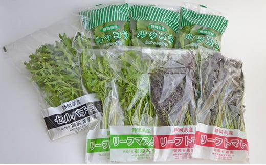 国産 ハーブ 野菜 詰め合わせ 約 450g 4種 8袋 セット ルッコラ 約 50g × 3袋 リーフトマト 赤からし菜 約 50g × 2袋 リーフマスタード からし菜 約 50g × 2袋 セル