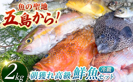 【朝獲れ】高級鮮魚2kg[PDP002] 鮮魚 鮮魚 鮮魚 鮮魚 鮮魚 鮮魚