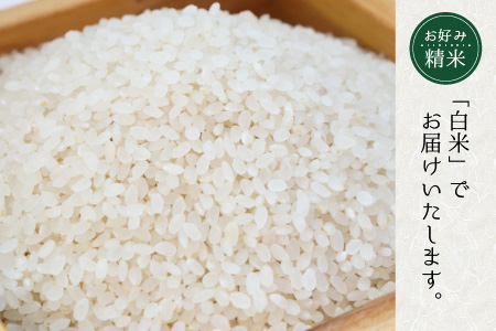 【先行予約】【令和7年産・新米】 【6ヶ月連続お届け】清流こしひかり 竹田米 5kg × 6回 計30kg （白米）【2025年9月下旬以降順次発送予定】 【米 お米 こめ 精米 コシヒカリ ブランド