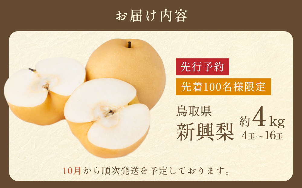 先行予約 新興梨（しんこうなし）4kg｜鳥取 果物 フルーツ なし 梨【41036】