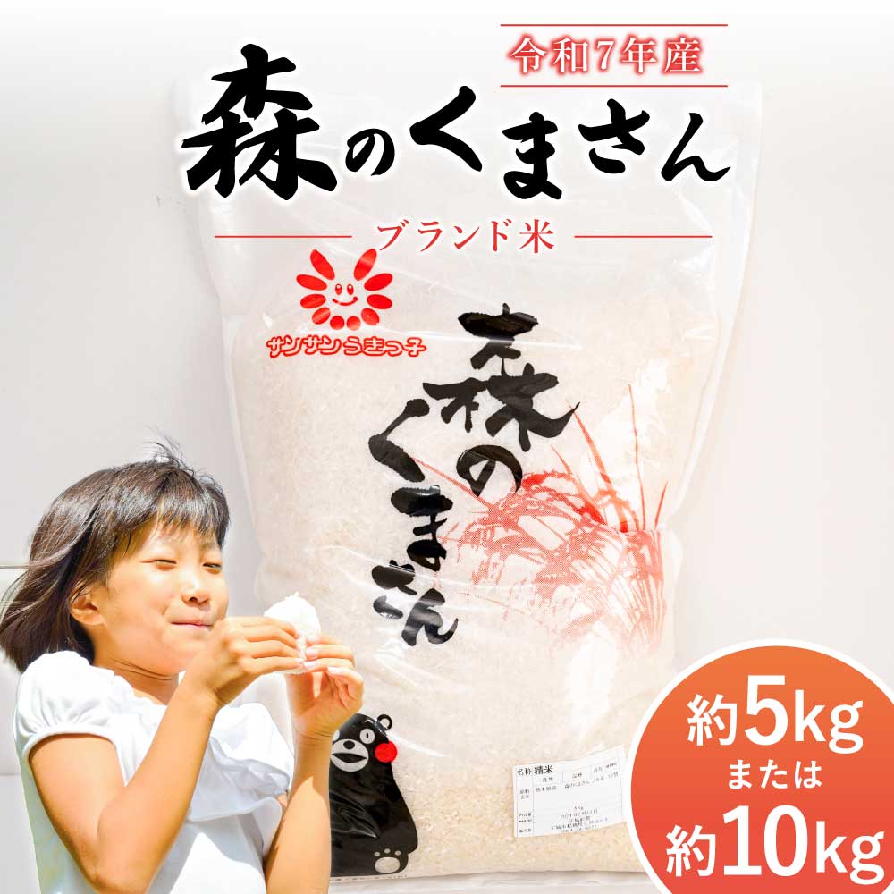 【ふるさと納税】 新米 先行予約 【令和7年産】 米 森のくまさん 【選べる容量】5kg または 10kg 【2025年11月上旬から2026年10月下旬発送予定】うるち米 白米 お米 精米 コメ ごはん ご飯 おこめ 精白米 ブランド米 単一米 国産 九州 熊本県産 熊本県 宇城市 JA熊本うき