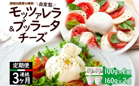 チーズ 定期便 3ヶ月 詰め合わせ 各2個 フレッシュ チーズ
