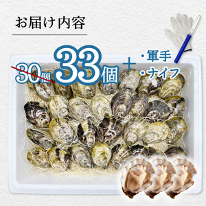 先行予約 あまべ牡蠣 33個 牡蠣 シングルシード 生食用 殻付き かき カキ オイスター 生ガキ 生牡蠣 生がき 生かき ギフト 貝 旨味 【2026年12月以降にお届け】