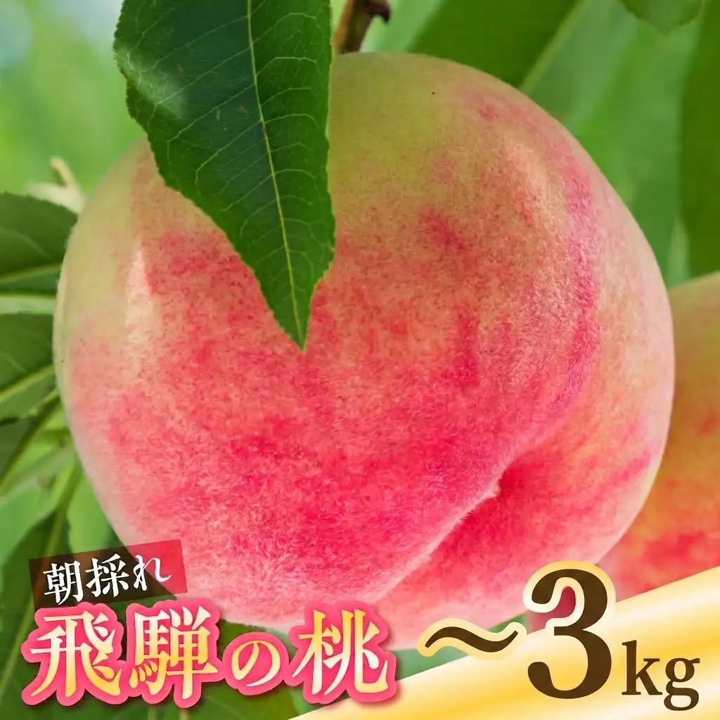 朝採れ 飛騨の桃 10玉(3kg) / 桃 もも モモ