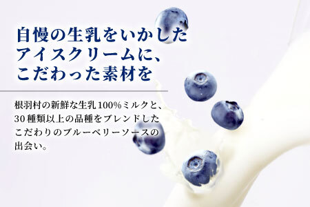 生ソフトクリーム＆いなぶのブルーベリーアイス16個セット 10000円 アイスクリーム ソフトクリーム ブルーベリー ミルク