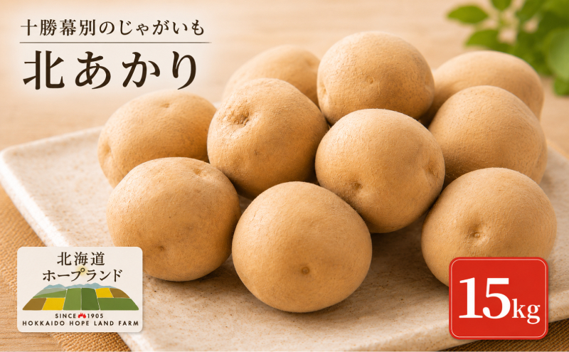 【先行予約】十勝幕別のじゃがいも15kg（北あかり）【北海