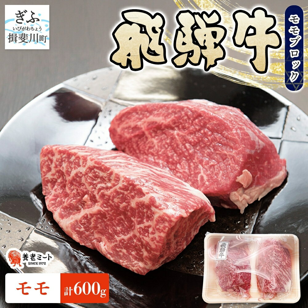 【ふるさと納税】飛騨牛 モモ ブロック 計600g 300g×2p 和牛 黒毛和牛 赤身肉 牛肉 肉 塊肉 ローストビーフ ステーキ 厚切りステーキ カレー シチュー グルメ ギフト お取り寄せ 贈り物 送料無料 養老ミート 冷凍 岐阜県 揖斐川町