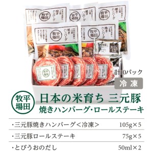 SB0550　平田牧場　日本の米育ち三元豚ハンバーグ＆ロールステーキギフト