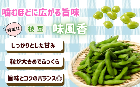 とうもろこし（ゴールドラッシュ）と枝豆セット《2026年7月上旬頃より出荷予定》木内ファーム_とうもろこし Ca-005