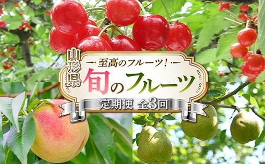 令和8年6月発送開始 山形県 至高のフルーツ！ 山形県旬のフルーツ定期便 全3回 FSY-2279