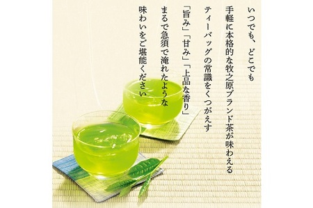 静岡牧之原市ブランド茶　望　金印　ティーパック（5ｇ×8包）5袋