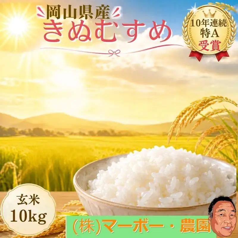 【令和8年産 先行予約】 食味ランキング特A10年連続受賞の美味しいお米 岡山県産きぬむすめ 玄米 10kg / お米 特A きぬむすめ 岡山県産 【mabo002-01】